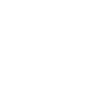 LIGHT WEIGHT AND STRONG Icon