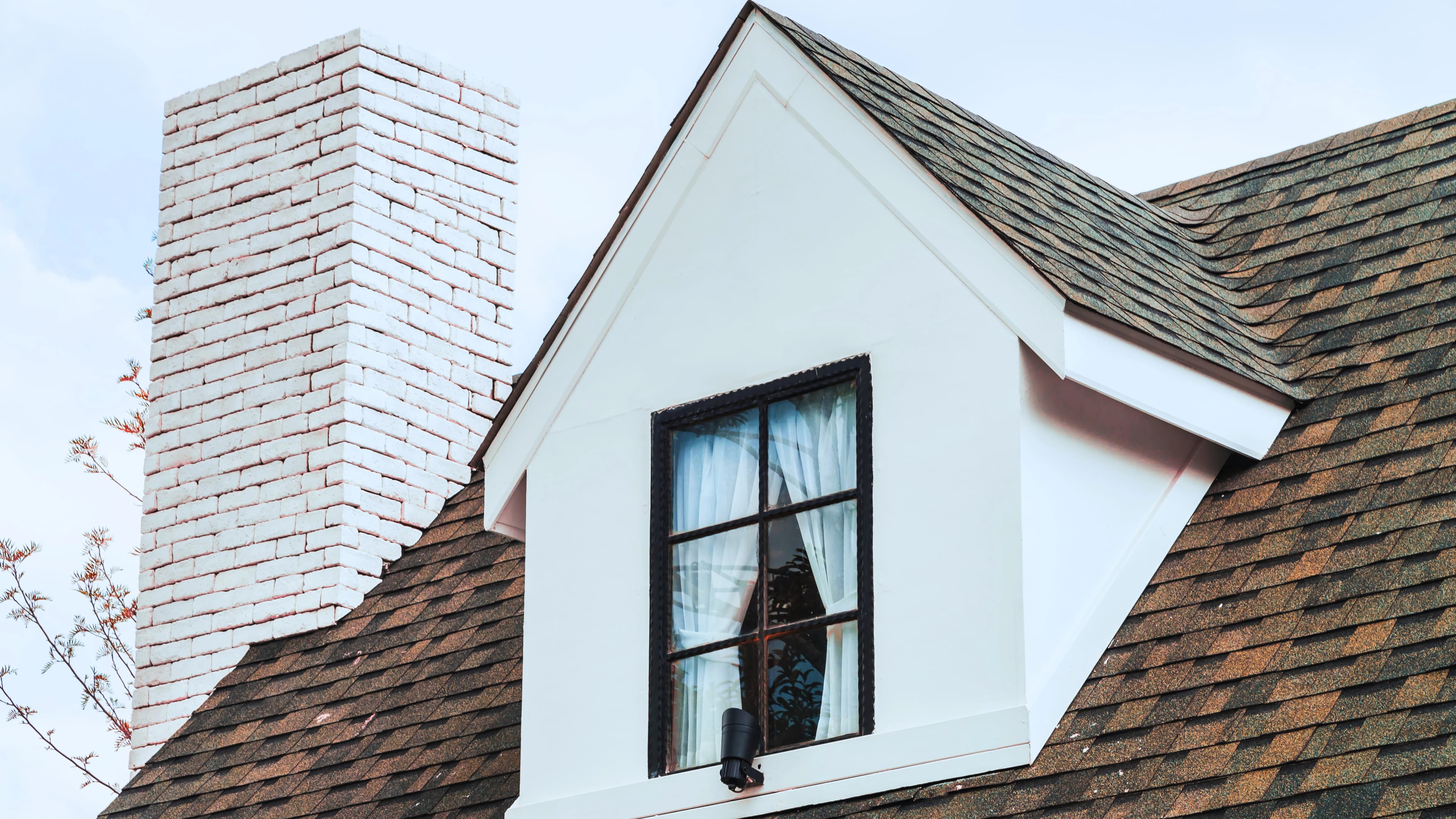 Lab Section Background Dual Brown